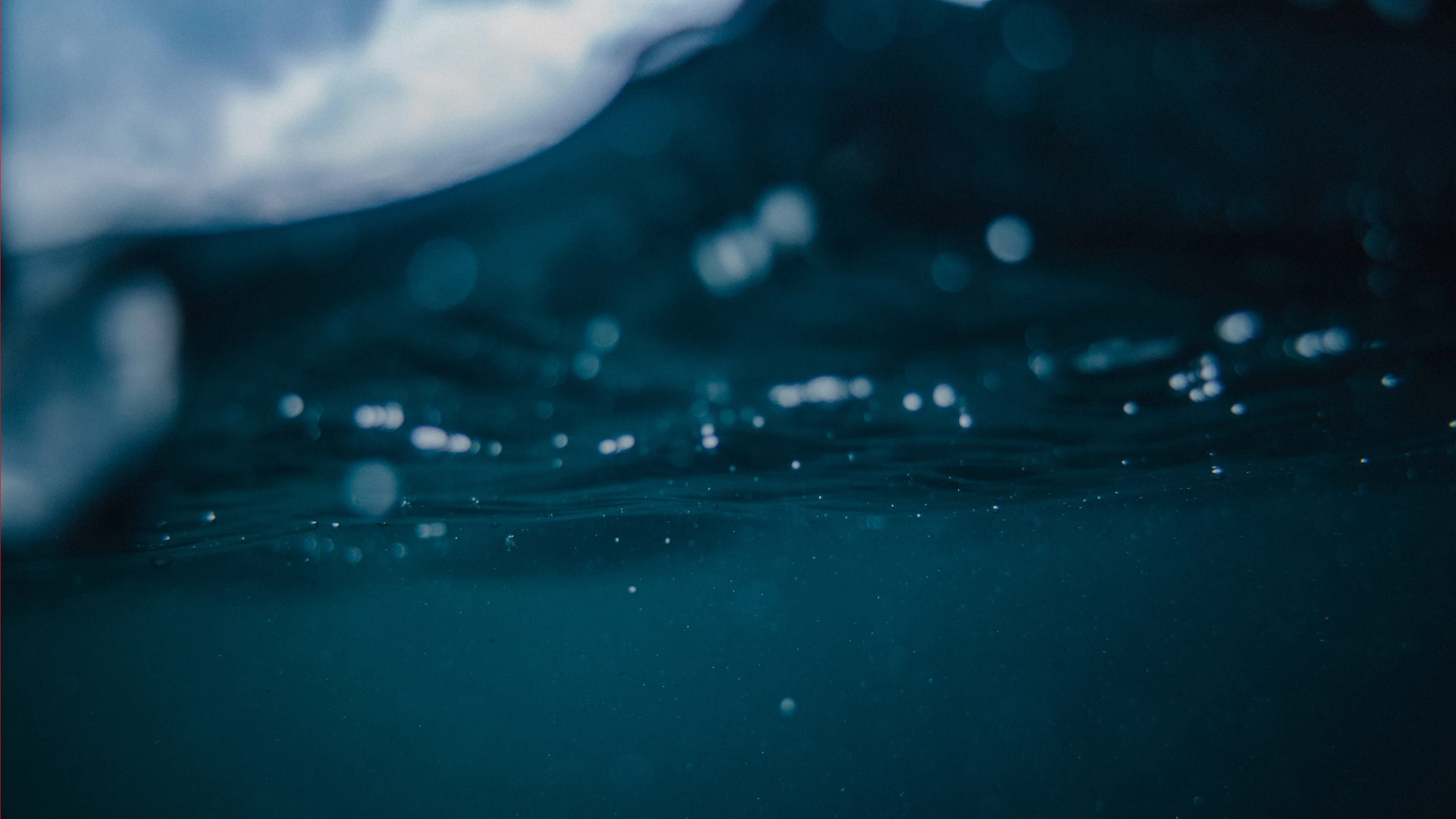 MACROPLAST_header.jpg