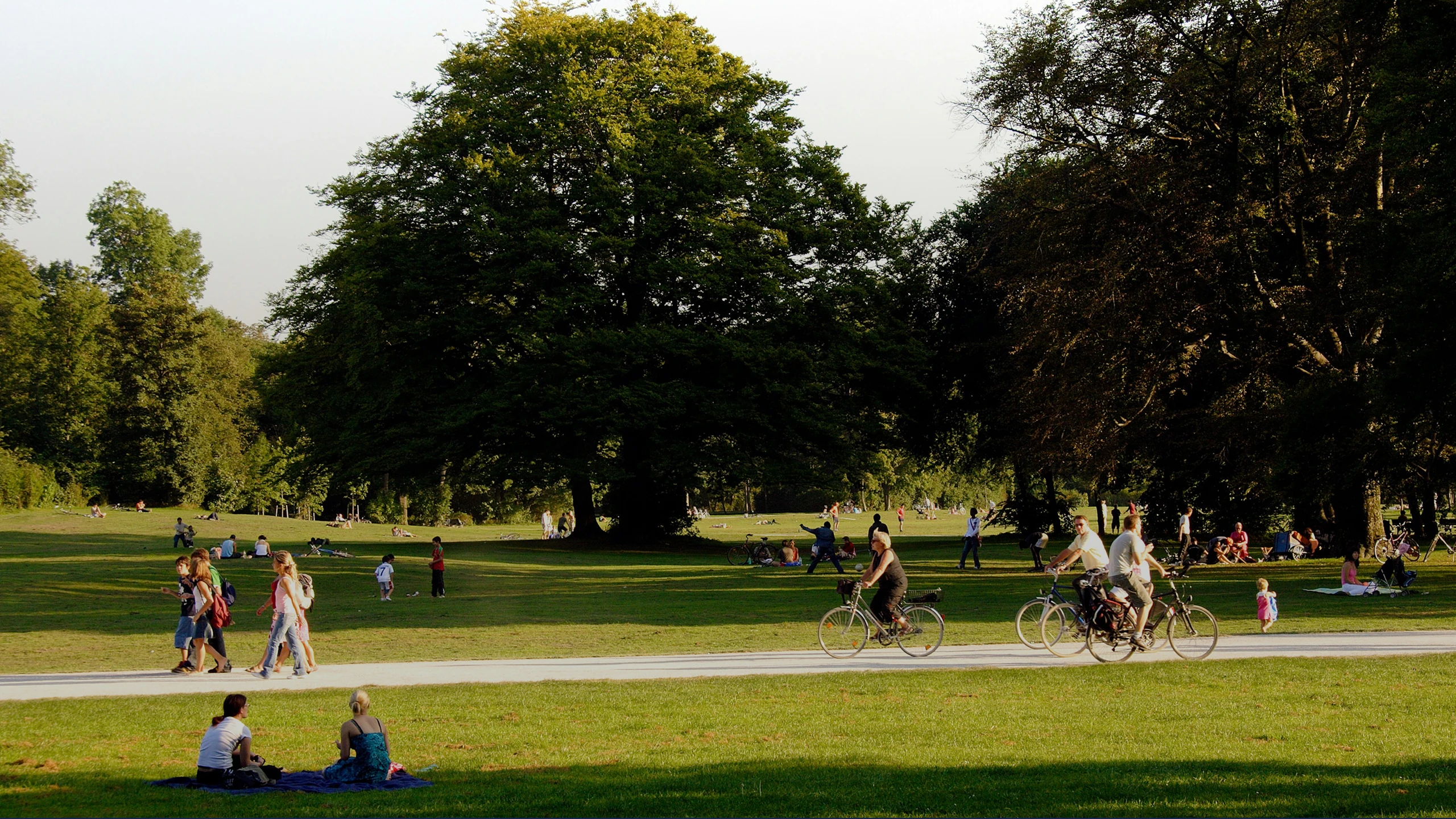 CCSC_header.jpg
