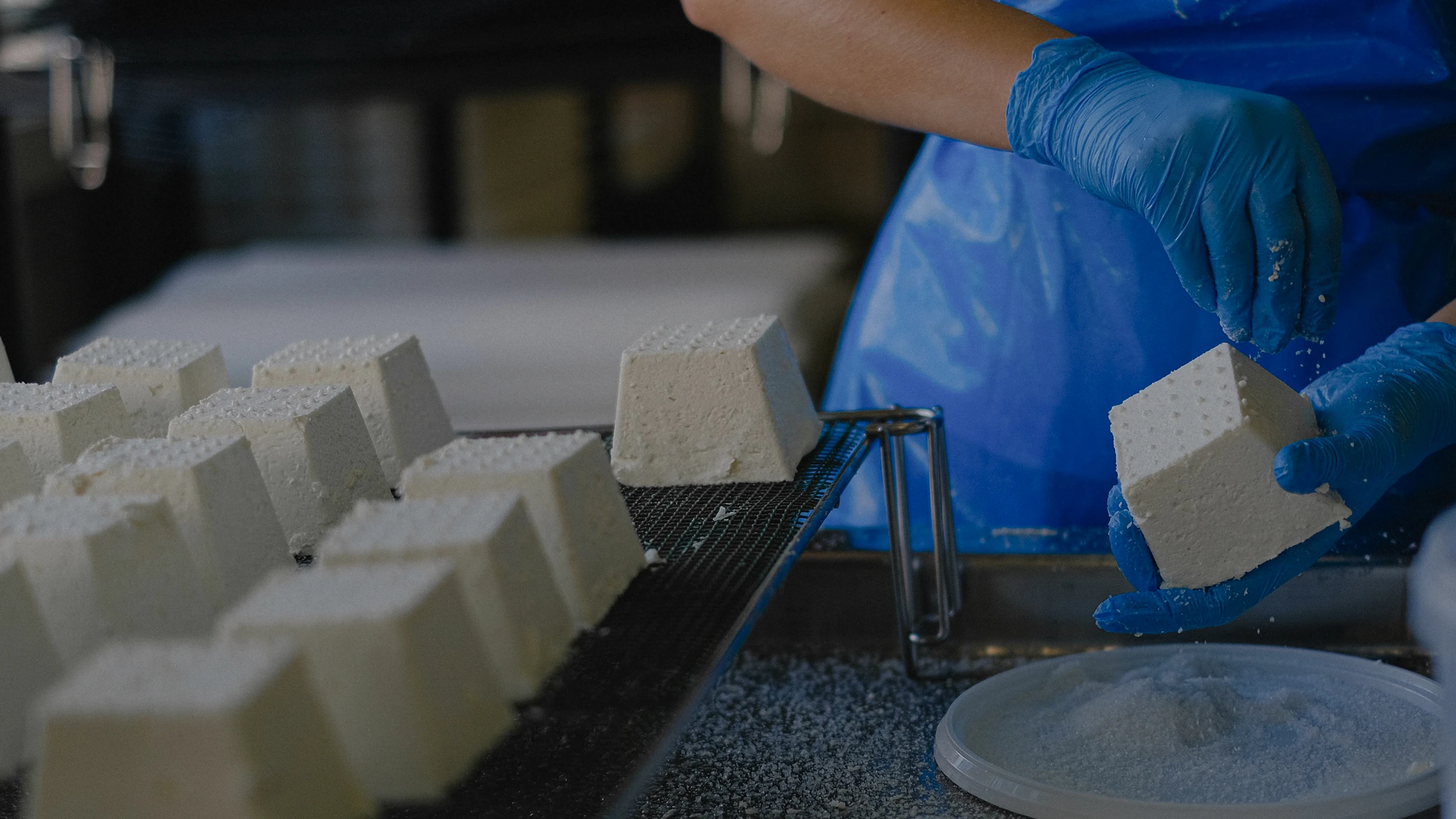 ALIMETIERS_header.jpg