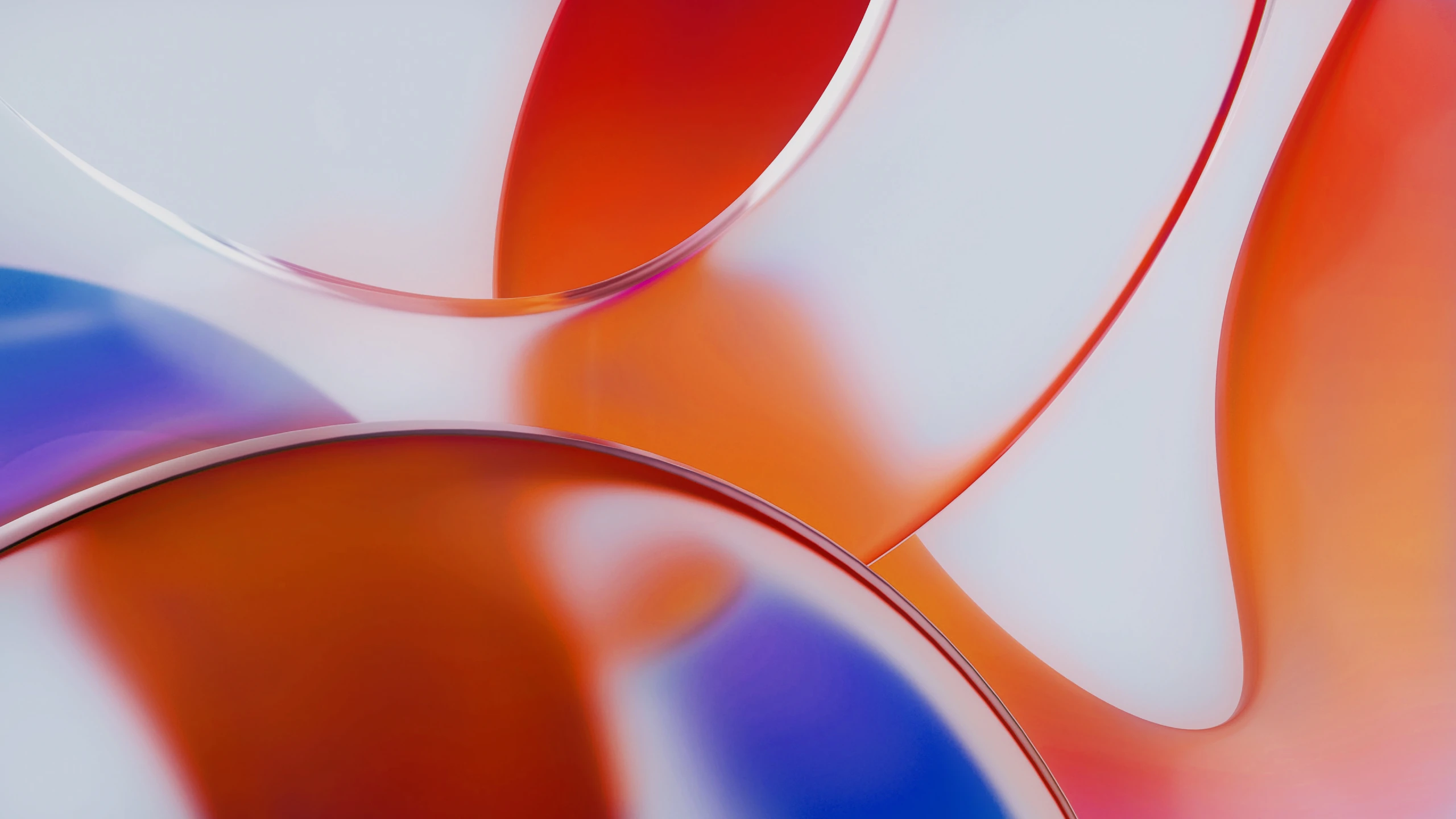 CARNOTICA_header.jpg